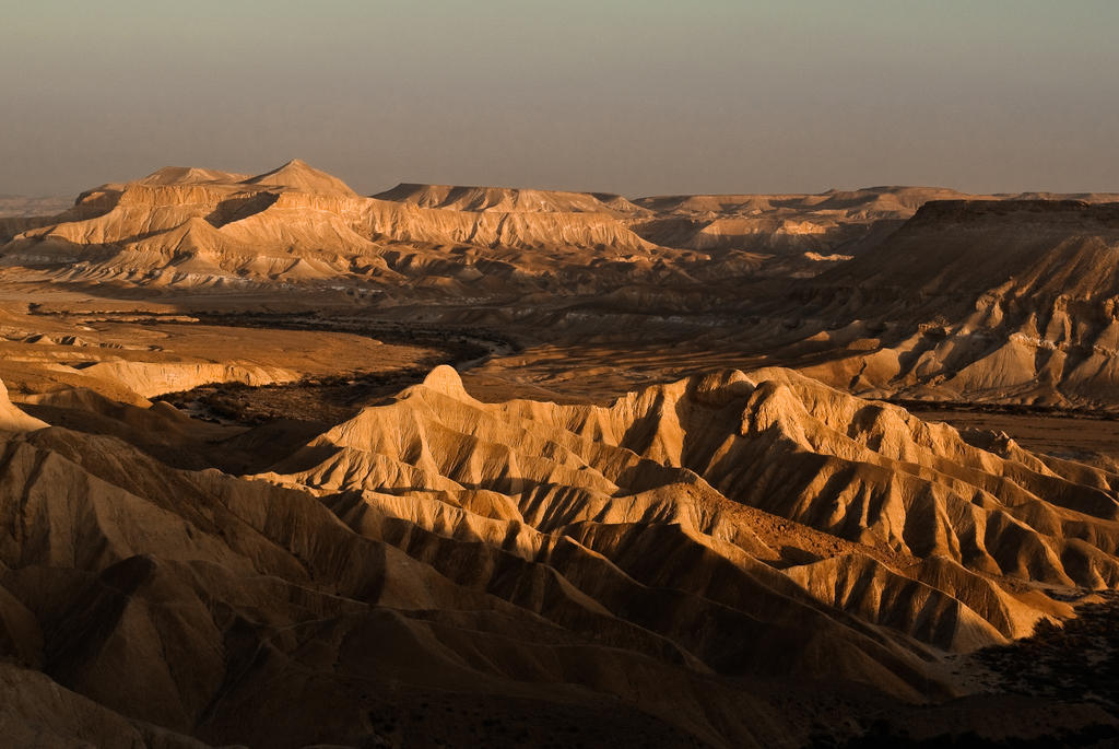 Krivine B&B Midreshet Ben Gurion Eksteriør billede